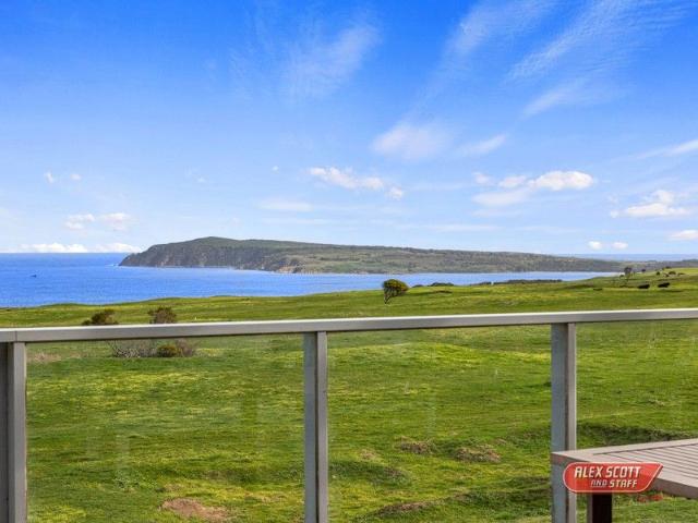 Oceanfront Elegance with Whale Watching Vistas