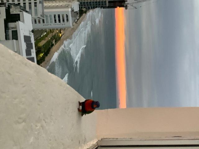 Oceanfront 20 steps to beach sleeps 14 huge apartment VIEWS 280 degrees