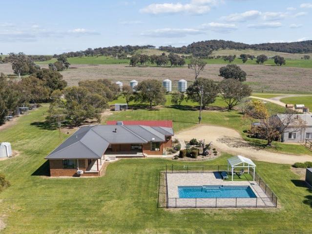 Oakbank Turn the Key to your Own Fattening Operation