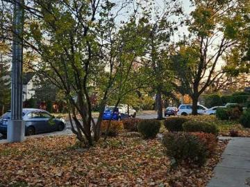Apartment for rent in Longueuil