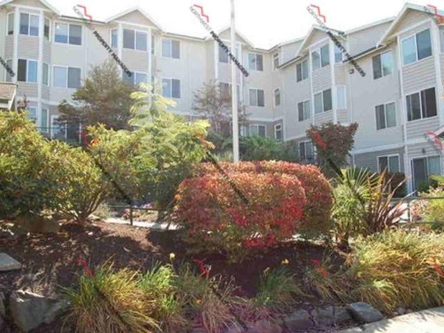 Oasis Apartments 1 Bedroom Apartment for Rent at 2825 Delin St, Tacoma, WA 98402 New Tacoma