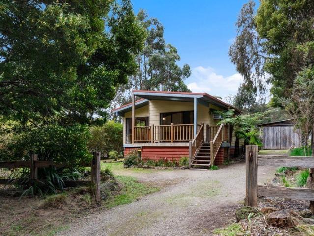 Oasis in the Otways!