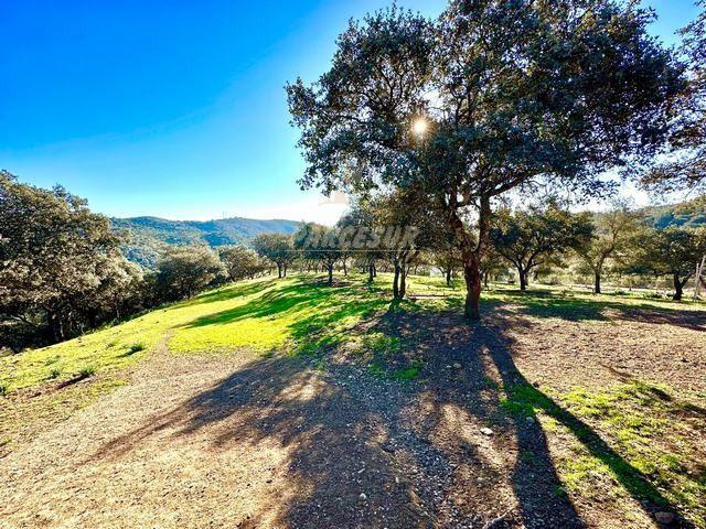 OBEJO Finca de 8 hectáreas con casa de 110 m2 con 4 habitaciones, nave y embalse