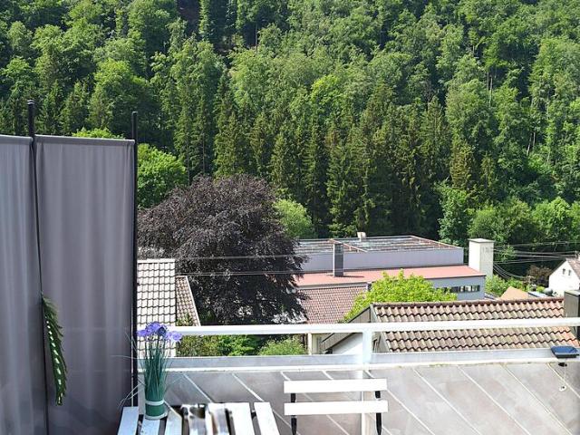 Oben wohnen, weit blicken! 2 Zimmer Wohnung mit Sunset Blick ins Grüne!