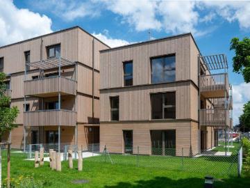 Siedlungsstraße, Ober-Grafendorf, Ober-Grafendorf, Bezirk St Pölten, Niederösterreich