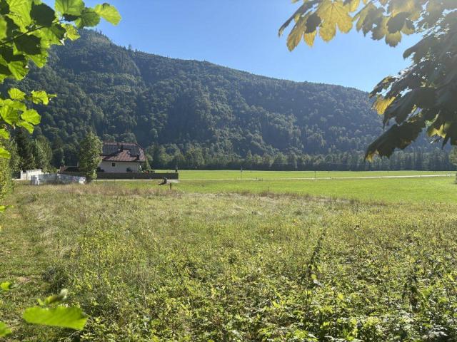OBERASCH/HINTERSEE: Gemütliche 3 Zimmer Balkon Wohnung O7 in Holzbauweise, nur mehr wenige Balkon Wohnungen frei!