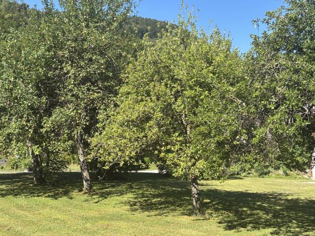 OBERASCH/HINTERSEE: Gemütliche 3 Zimmer Gartenwohnung E3 in Holzbauweise, nur mehr wenige Garten Wohnungen frei! PROVISIONSFREI!