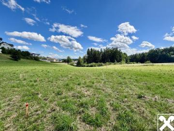 Freistadt, Bezirk Freistadt, Oberösterreich