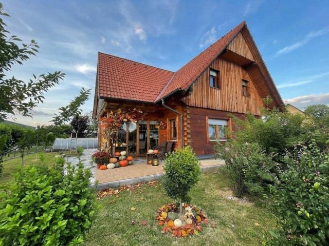 Obervogau Charmantes Einfamilienhaus mit 4 Zimmern und einem 2ten kleinen Haus sowie Doppelcarport vielseitig verwendbar!