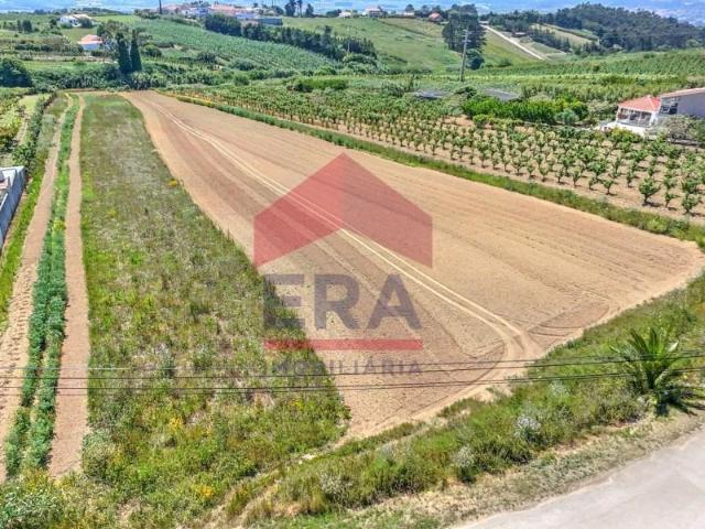 Óbidos Óbidos 101749957