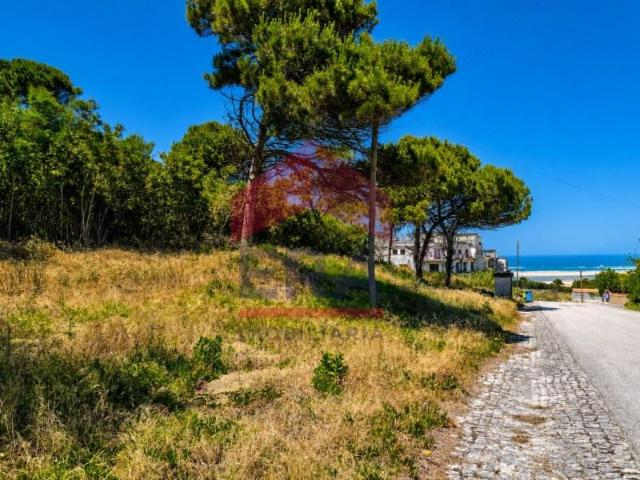 Óbidos Óbidos 102722760