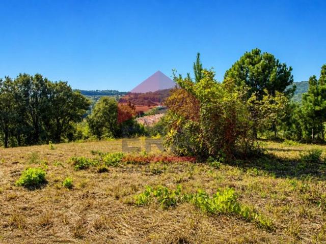 Óbidos Óbidos 105376897