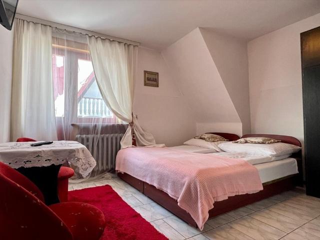 Obiekt noclegowy 350 m² w Zakopanem, gotowy do działalności! polecam!