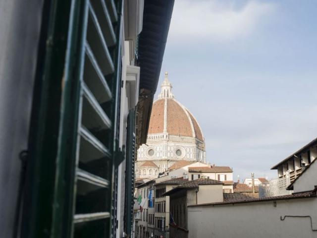 Oblate Exclusive View