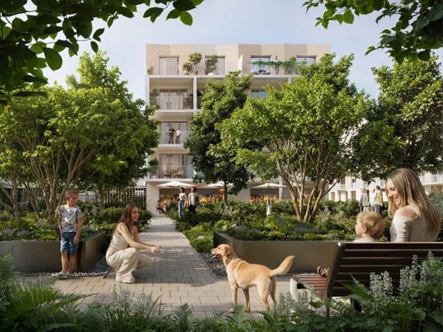 Łódź, Widzew