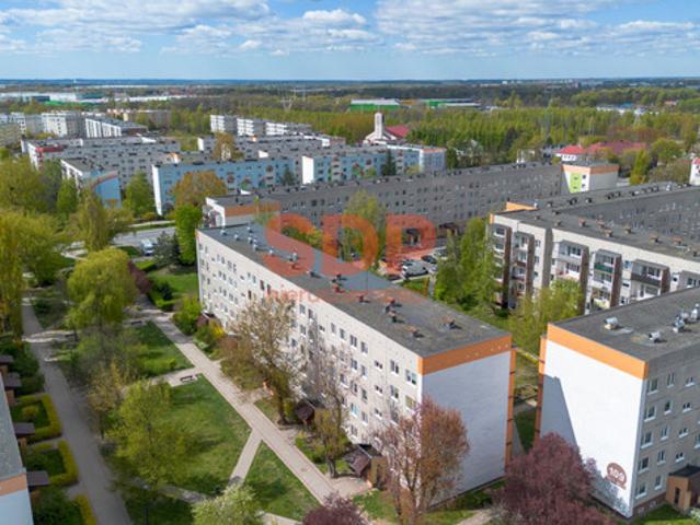 Łódź, Widzew, Ziemowita