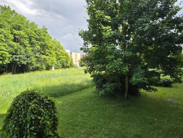 Łódź, Bałuty, Radogoszcz