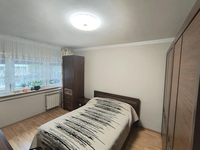 Łódź, Bałuty, Teofilów, Rojna