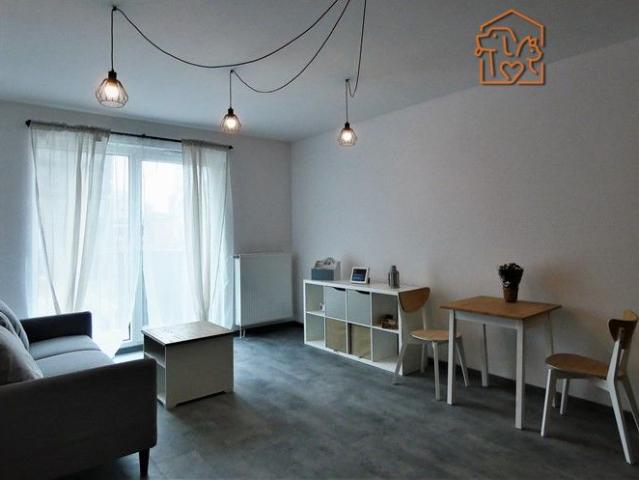 Łódź Łódź Górna, Milionowa