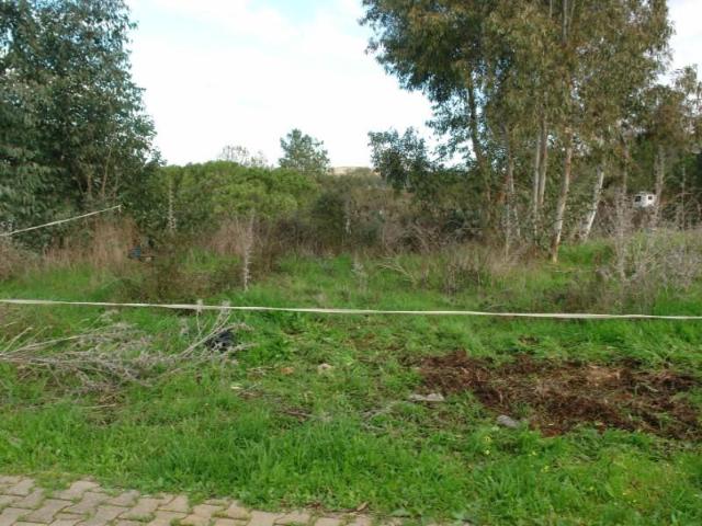 Odemira Odemira 105337176