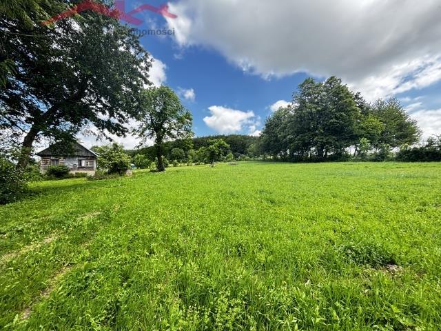 Urokliwy dom nad Zalewem w Odrzechowej – 4 pokoje, 80 m2
