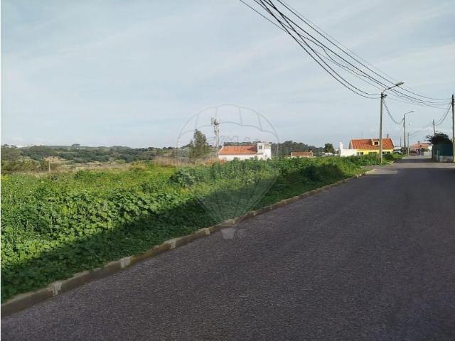 Oeiras Oeiras 103404881