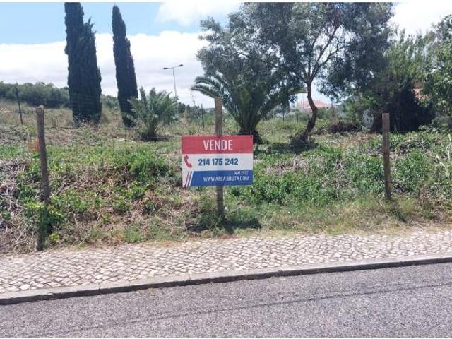 Oeiras Oeiras 97123309