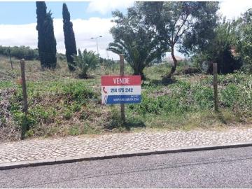 Oeiras Oeiras 97123309