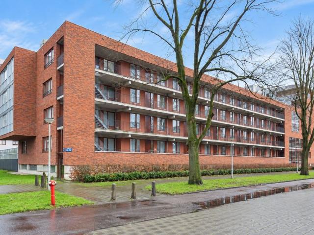 Oeverpad, Amsterdam