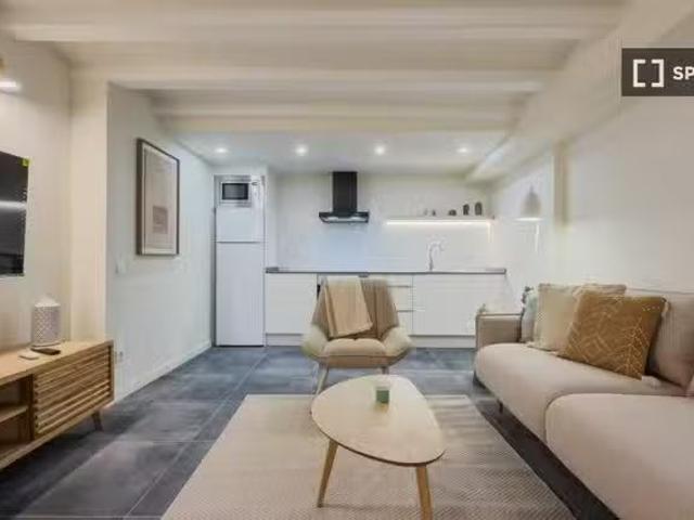 Único Apartamento de 1 dormitorio en alquiler en Ciutat Vella.