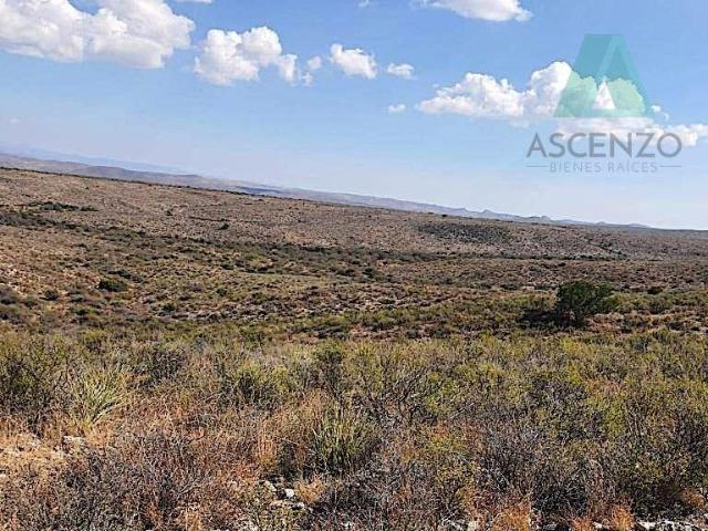 ?OFERTA ?NICA! VENTA DE RANCHO GANADERO EN SAN PEDRO DEL GALLO, DGO Davsa