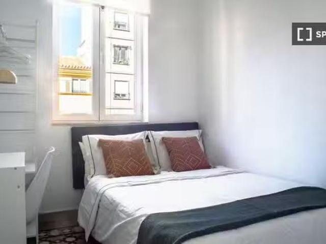 Único Se alquila habitación en piso de 5 habitaciones en Málag.