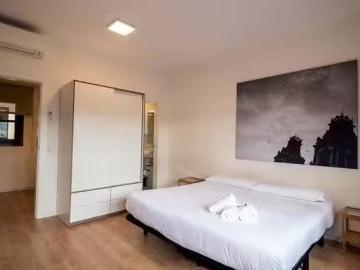 Único Piso de 1 habitación en Carrer de Pelai