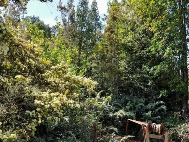 Oferta una hectárea con 2 casa Regularizada! 5 dormitorios por 95000. 00 en Puerto Varas