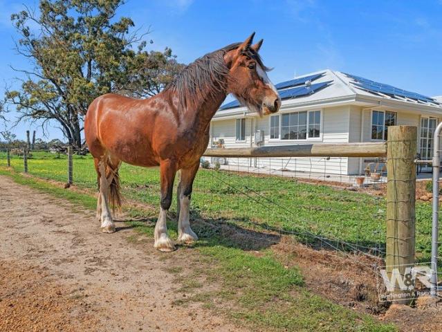 OFF GRID 52 ACRES OF COUNTRY PEACE AND TRANQUILITY