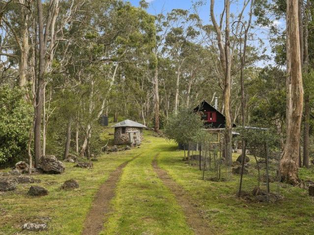 Off Grid Lifestyle Retreat Among Nature's Wonderland