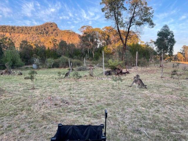 Off Grid Living Amidst Nature