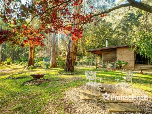 Off Grid Sustainable Living