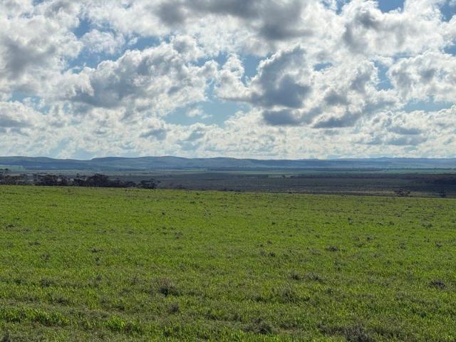 Off Grid sanctuary on 151 hectares 373 Ac across 2 Titles. Peace, nature and views