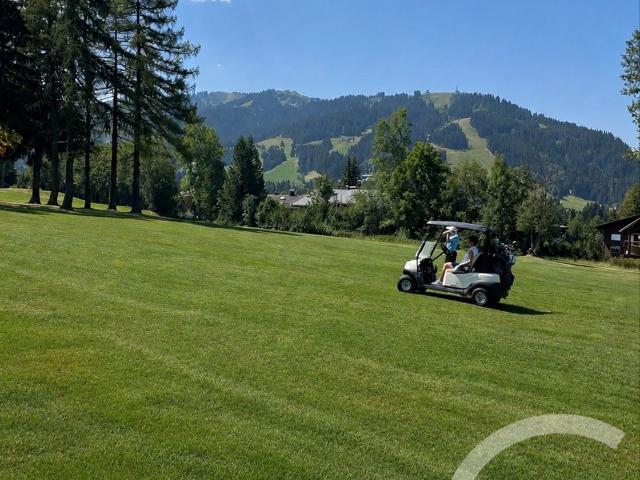 Dans le très prisé secteur des Pettoreaux à Megève, à proxim. 184m² Megève