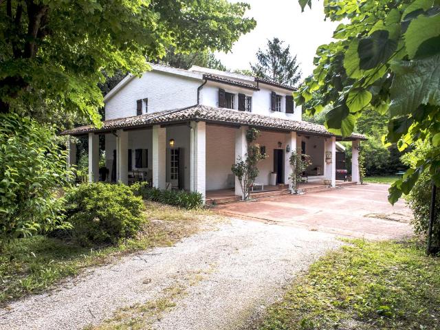 OFFAGNA 10 vani 300mq