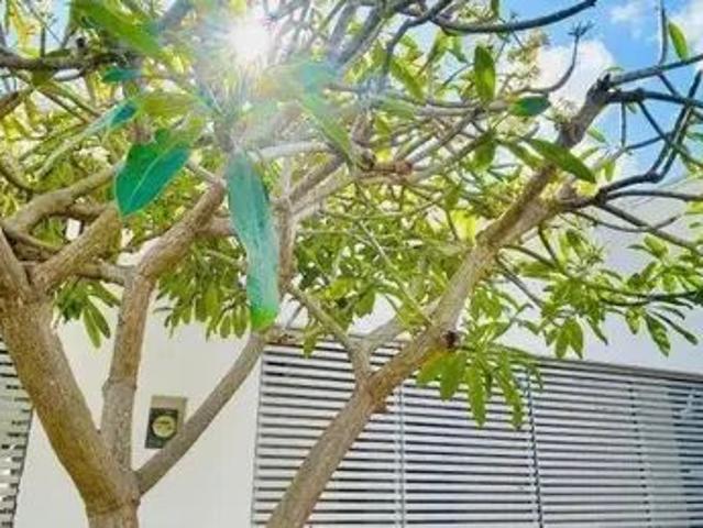Oficina O Casa Habitación En Rebta Cancún Centro Por Galenia