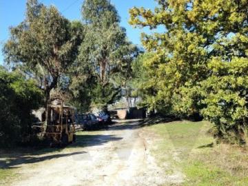 Oficina e Moradia, grande terreno e vista para a serra. Oportunidade única!’