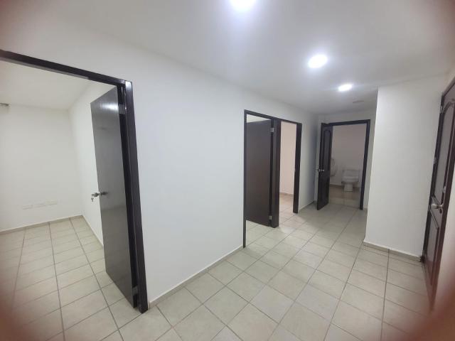 OFICINA EJECUTIVA EN RENTA 50 M2