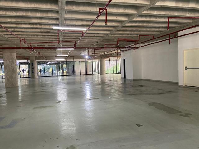 Oficina en Lomas de Chapultepec