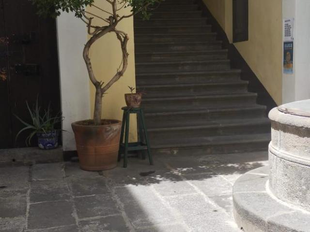 Oficina en Puebla Centro