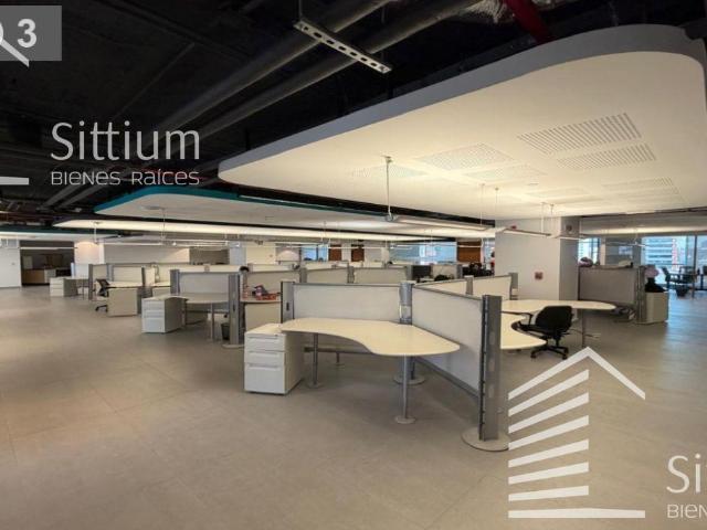 Oficina en Renta Masaryk Piso 3 1502 m2