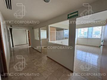 Oficina en Renta, Av. Alvaro Obreg?n, Roma Norte