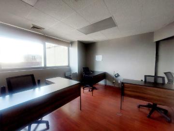 Oficina en renta en Polanco, con peque?a terraza