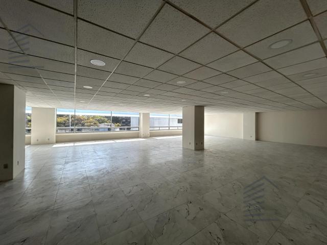 Oficina en Renta Hamburgo piso 3 320 m2